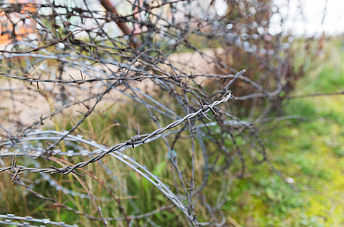 imprisonment, restriction concept - barb wire fence over gray sky