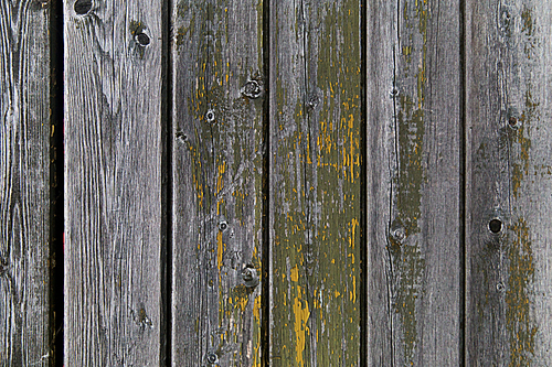 backgrounds and texture concept - old wooden fence painted in green background