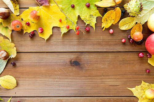 nature, season, advertisement and decor concept - frame of autumn leaves, fruits and berries on wooden table