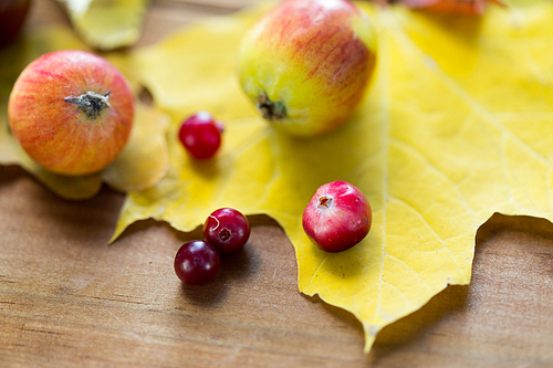 nature, season, autumn and botany concept - close up of autumn leaves, fruits and berries on wooden table
