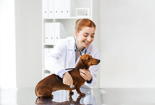 medicine, pet, animals, health care and people concept - happy veterinarian doctor with stethoscope examining dachshund dog at vet clinic