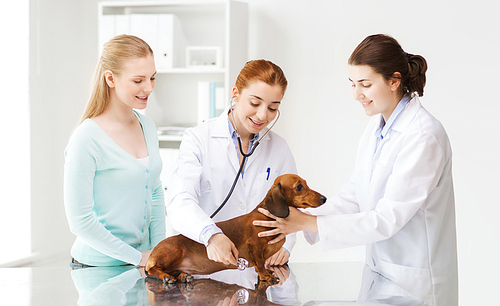 medicine, pet, animal, health care and people concept - happy woman and veterinarian doctor with stethoscope checking up dachshund dog health at vet clinic