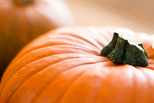 food, harvest, season and autumn concept - close up of pumpkins