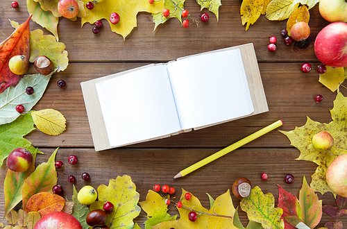nature, season, inspiration and memories concept - close up of empty note book or album with pencil in frame of autumn leaves, fruits and berries on wooden table