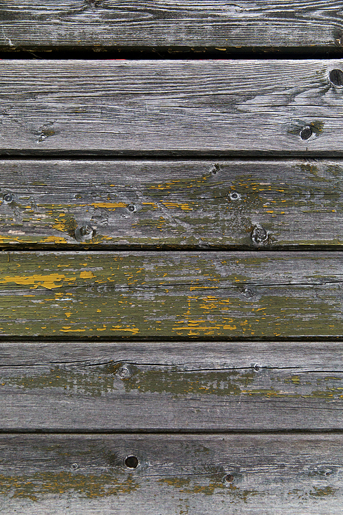 backgrounds and texture concept - old wooden fence painted in green background