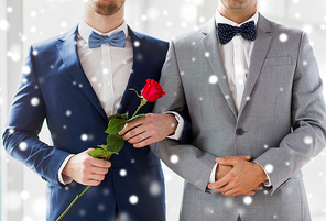 people, homosexuality, same-sex marriage and love concept - close up of happy male gay couple with red rose flower holding hands on wedding over snow effect