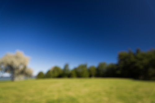 nature, season, landscape and environment concept - blurred summer field and blue sky background