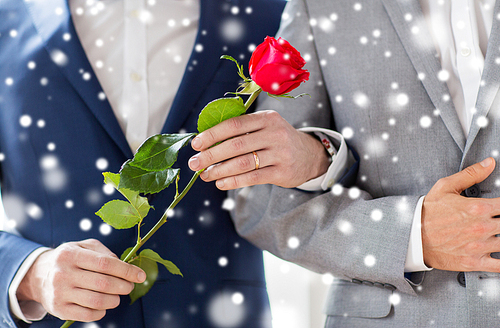 people, homosexuality, same-sex marriage and love concept - close up of happy male gay couple with red rose flower holding hands on wedding over snow effect