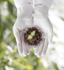 science, biology, ecology, research and people concept - close up of scientist hands holding petri dish with plant and soil sample over green background