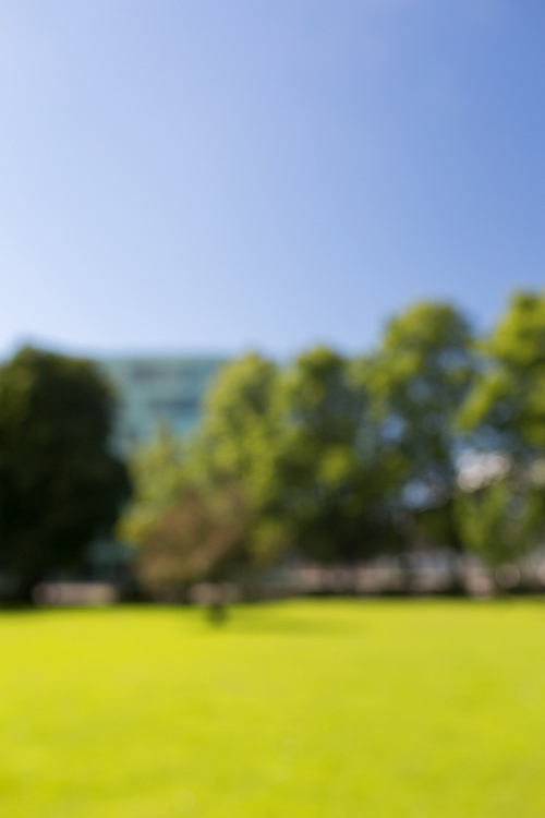 nature, landscape, background and environment concept - blurred summer field, trees and blue sky bokeh