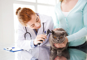 medicine, pet, animals, health care and people concept - happy woman and veterinarian doctor with otoscope checking up british cat ear at vet clinic