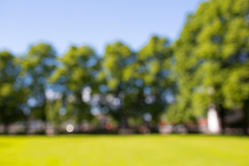 nature,  landscape, background and environment concept - blurred summer field, trees and blue sky bokeh