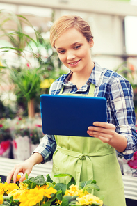 people, gardening, technology and profession concept - happy woman or gardener with tablet pc computer and flowers in greenhouse