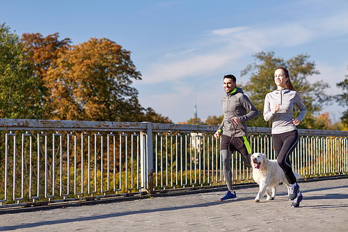 fitness, sport, people and lifestyle concept - happy couple with dog running outdoors