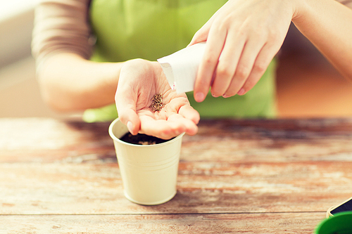 people, gardening, seeding and profession concept - close up of woman pouring seeds from paper bag to hand