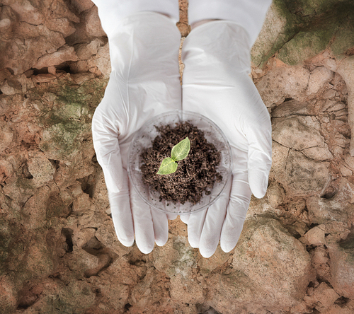 science, biology, ecology, research and people concept - close up of scientist hands holding petri dish with plant and soil sample over dry earth background