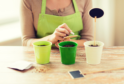 people, gardening, seeding and profession concept - close up of woman writing name on garden sign over pots with soil and seeds