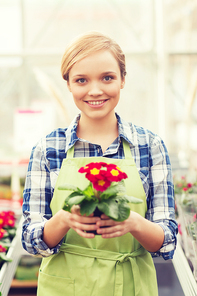 people, gardening and profession concept - happy woman or gardener holding flowers in greenhouse