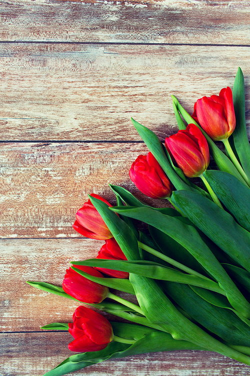 gardening , flowers, advertisement and holidays concept - close up of red tulips on wooden background