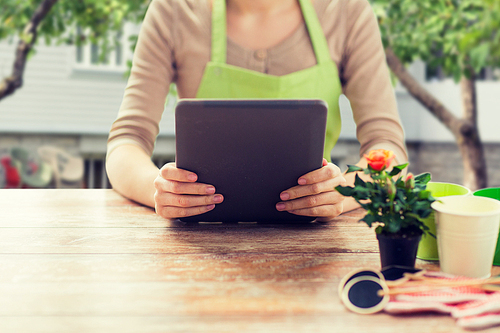 people, gardening, flowers and profession concept - close up of woman or gardener holding tablet pc computer and sitting at wooden table over summer house background