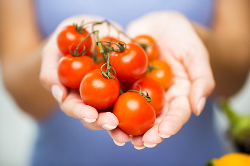 healthy eating, vegetarian food, diet , vegetables and people concept -close up of woman holding cherry tomatoes in hands