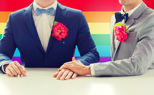 people, homosexuality, same-sex marriage and love concept - close up of happy married male gay couple in suits with buttonholes and bow-ties holding hands on wedding over rainbow flag background