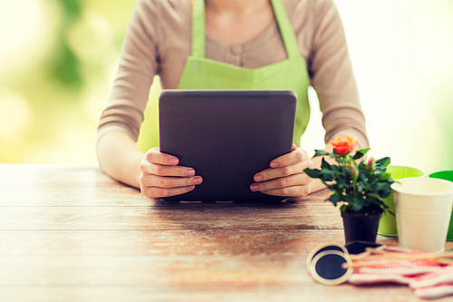 people, gardening, flowers and profession concept - close up of woman or gardener holding tablet pc computer and sitting at wooden table over green natural background