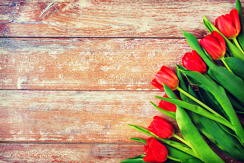gardening , flowers, advertisement and holidays concept - close up of red tulips on wooden background