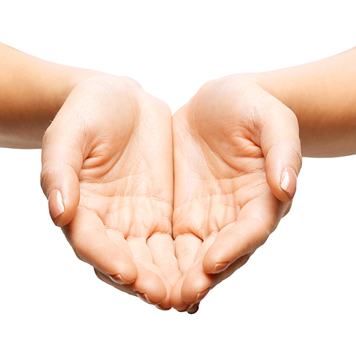 people, charity, help and support concept - close up of womans cupped hands