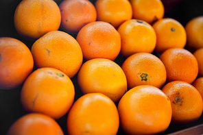 fruit, sale and food concept - oranges at street market