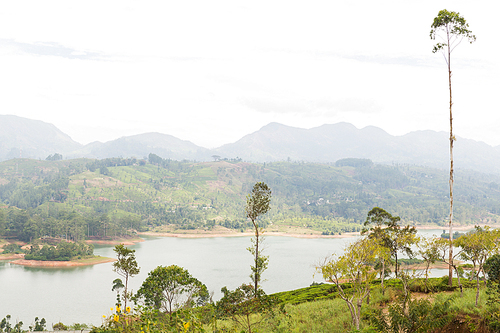 travel, tourism, nature and landscape concept - view to lake or river from land hills on Sri Lanka