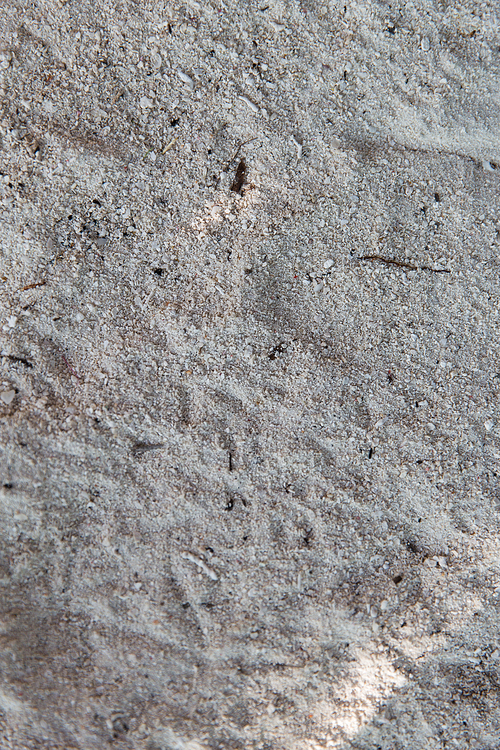 background and texture concept - close up of sand surface