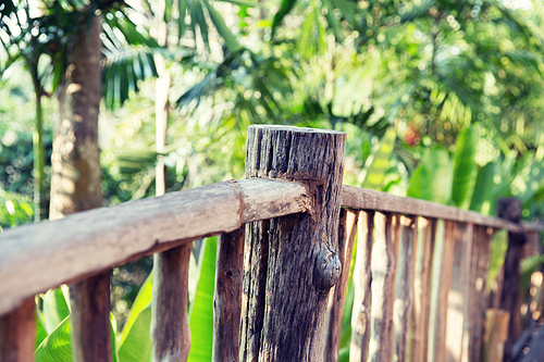 nature, travel, adventure and tourism concept - wooden fence at tropical woods or park