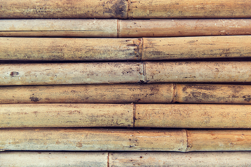 background and texture concept - bamboo cane wall