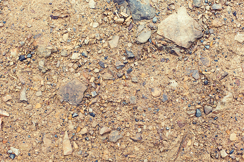 background, texture and nature concept - close up of brown ground