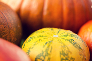 food, harvest, season and autumn concept - close up of pumpkins