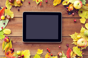 season, advertisement and technology concept - close up of tablet pc with blank screen in frame of autumn leaves, fruits and berries on wooden table