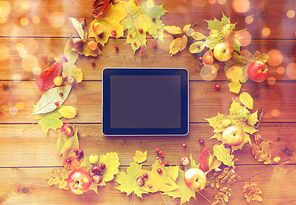 season, advertisement and technology concept - close up of tablet pc with blank screen in frame of autumn leaves, fruits and berries on wooden table