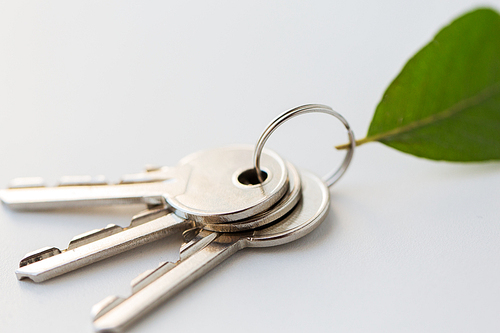 housing, environment and ecology concept - close up of house keys and green leaf trinket