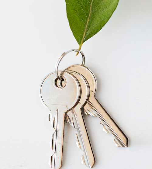 housing, environment and ecology concept - close up of house keys and green leaf trinket