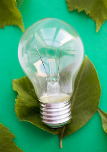 recycling, energy saving, electricity, environment and ecology concept - close up of lightbulb or incandescent lamp on green