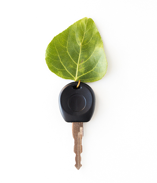 conservation, environment, transport and ecology concept - close up of car key and green leaf trinket