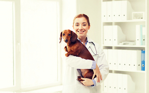 medicine, pet, animals, health care and people concept - happy veterinarian or holding dachshund dog at vet clinic