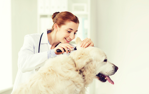 medicine, pet, animals, health care and people concept - happy veterinarian doctor with otoscope checking up golden retriever dog ear at vet clinic