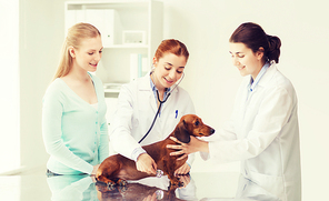 medicine, pet, animal, health care and people concept - happy woman and veterinarian doctor with stethoscope checking up dachshund dog health at vet clinic