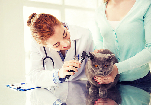 medicine, pet, animals, health care and people concept - happy woman and veterinarian doctor with otoscope checking up british cat ear at vet clinic