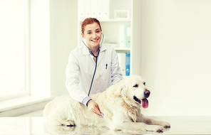 medicine, pet, animals, health care and people concept - happy veterinarian or doctor with stethoscope checking up golden retriever dog at vet clinic