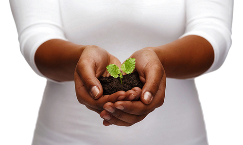 charity, environment, ecology, agriculture and nature concept - closeup of african american woman hands holding plant in soil