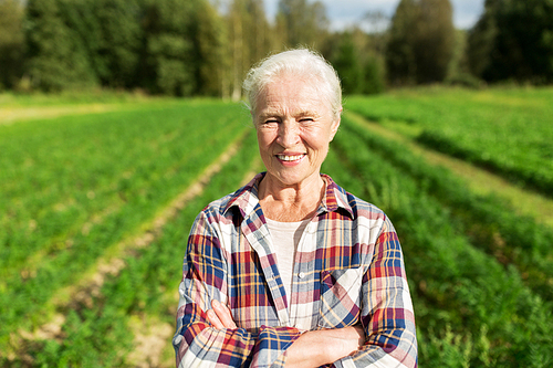 farming, gardening, agriculture and people concept - happy senior woman at farm