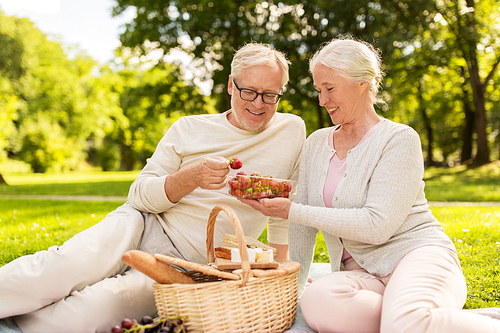 old age, leisure and people concept - happy senior couple with picnic basket eating strawberries at summer park